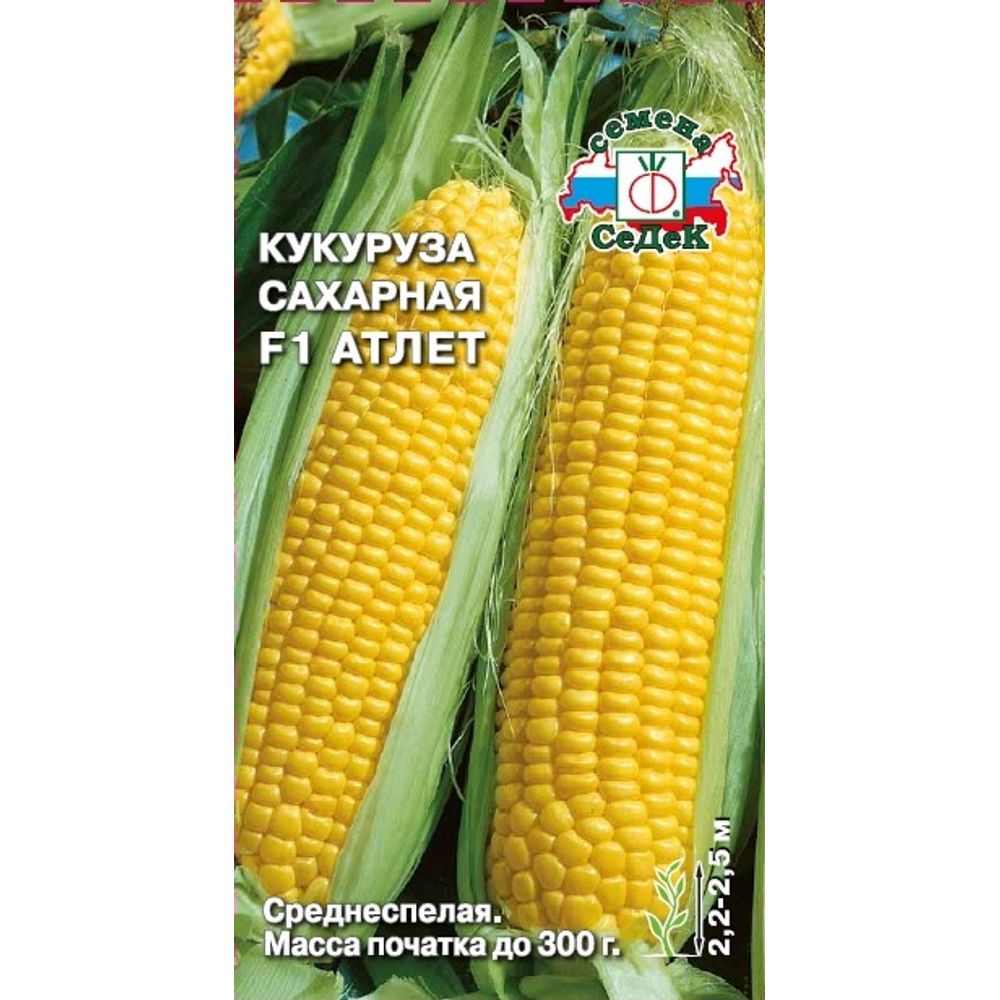Кукуруза сахарная Атлет F1 4г Седек