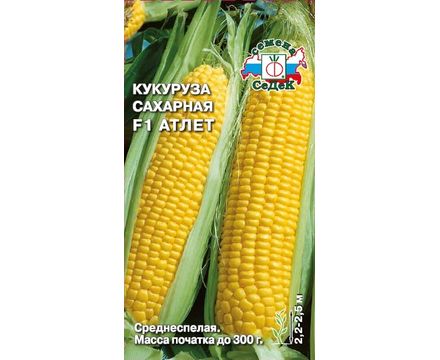 Кукуруза сахарная Атлет F1 4г Седек