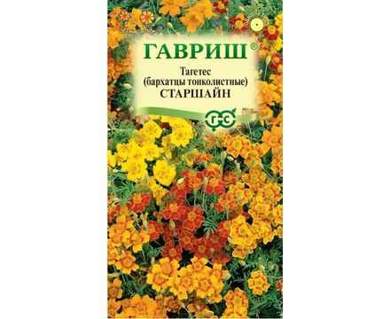 Бархатцы тонколист. Старшайн смесь 0,05 г Гавриш 