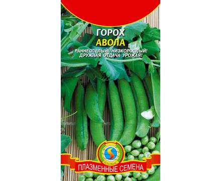 Горох Авола 8гр Плазменные семена