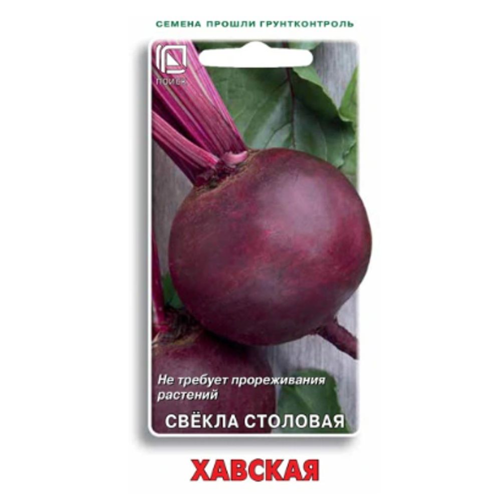Свекла столовая Хавская 3гр. Поиск