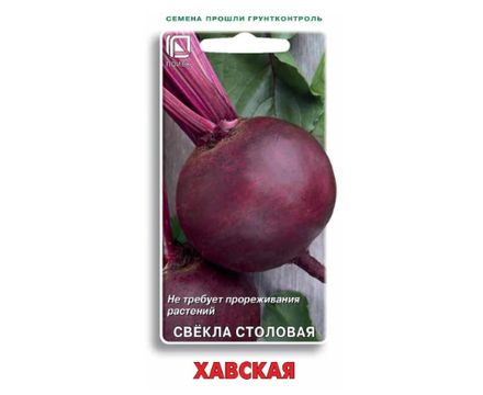 Свекла столовая Хавская 3гр. Поиск