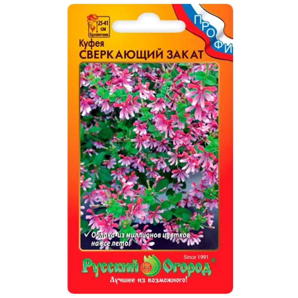 Куфея Сверкающий закат (4 шт) Русский огород 