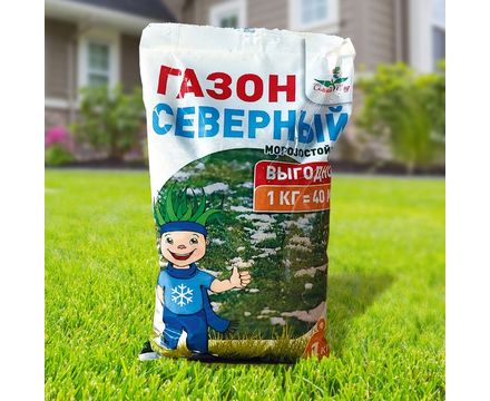 Газон Северный (морозостойкий) 1кг (пластик) НОВИНКА