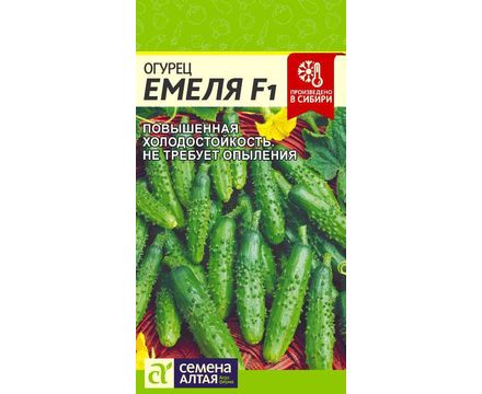 Огурец Емеля F1 5 шт Семена Алтая 
