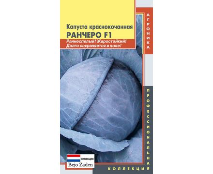 Капуста К/КРанчеро F1 10шт Плазменные семена