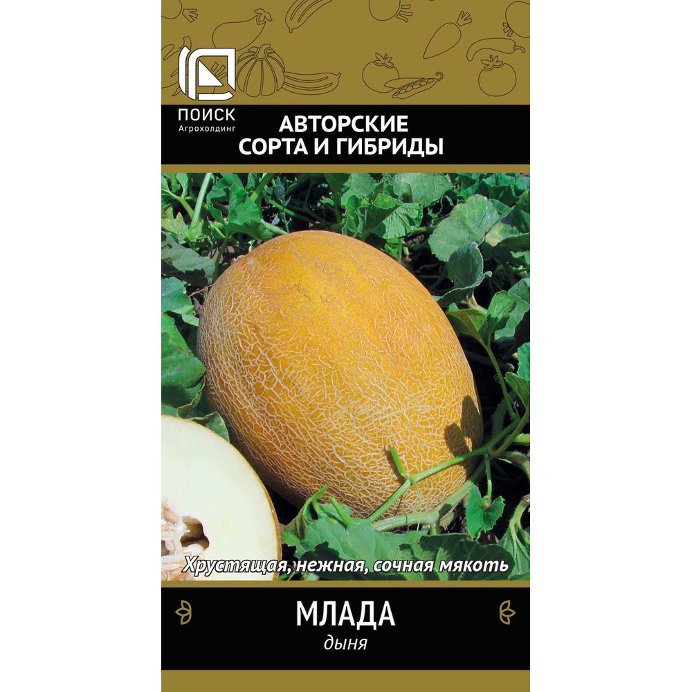 Дыня Млада 15шт Поиск Р