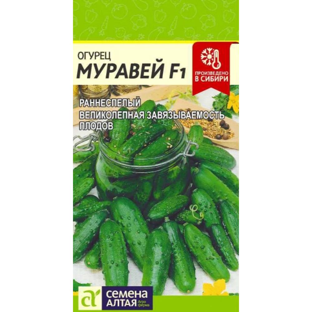 Огурец Муравей F1 5 шт Семена Алтая