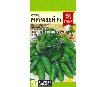 Огурец Муравей F1 5 шт Семена Алтая