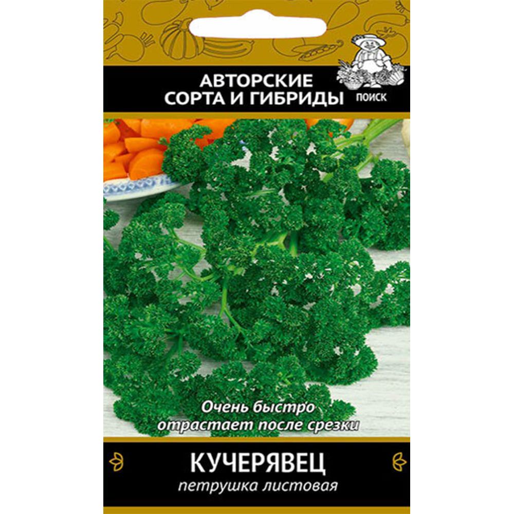 Петрушка Кучерявец 3г Поиск