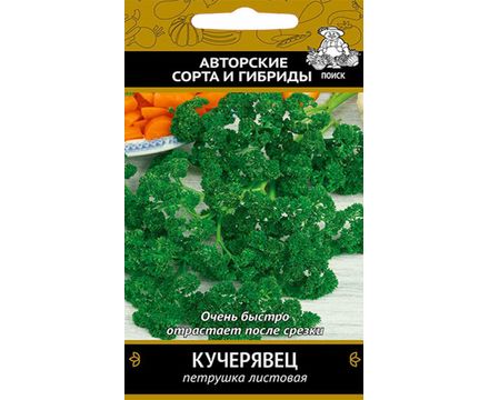 Петрушка Кучерявец 3г Поиск