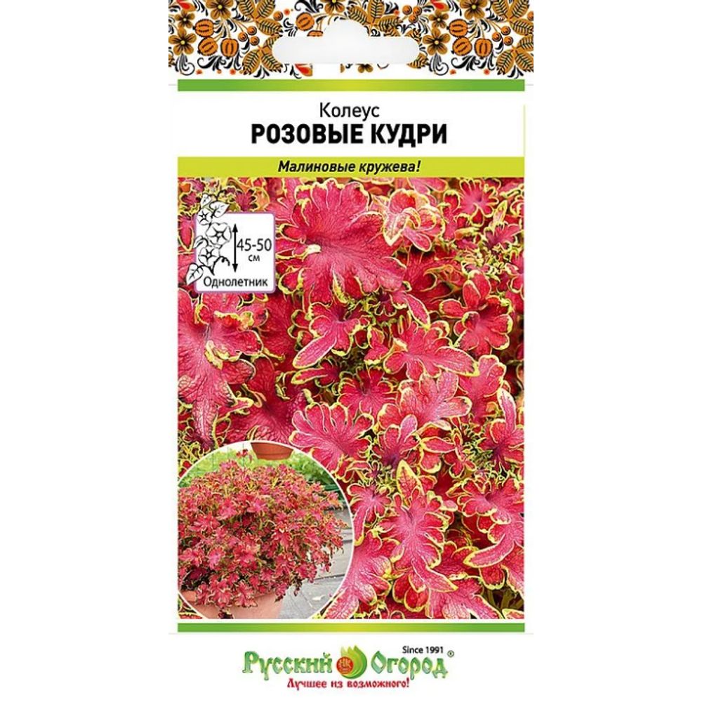 Цветы Колеус Розовые кудри 10шт Русский огород									