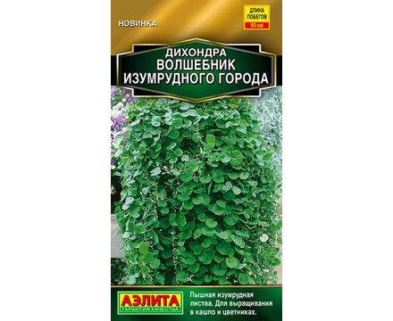 Дихондра Волшебник Изумрудного города 3шт 