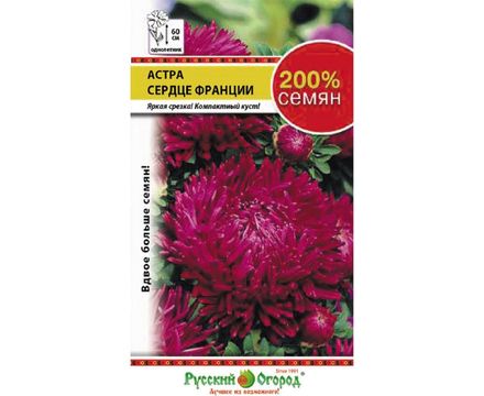 Цветы Астра Сердце Франции 0,5г Русский огород