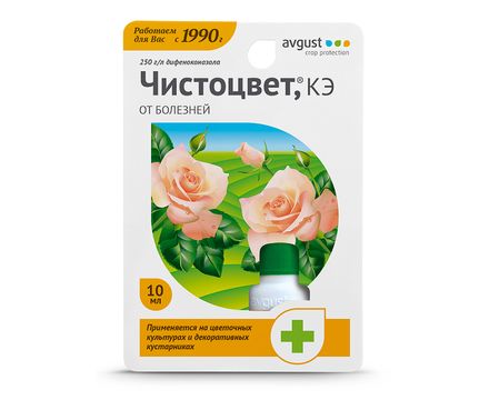 Чистоцвет 10мл Август