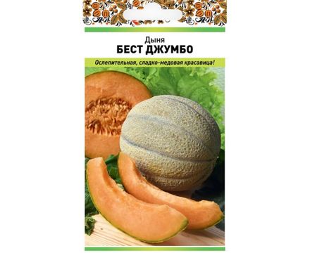 Дыня Бест Джумбо (1г)  Русский огород