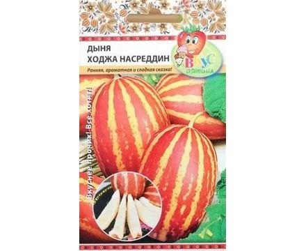 Дыня Ходжа Насреддин 5шт  Русский огород