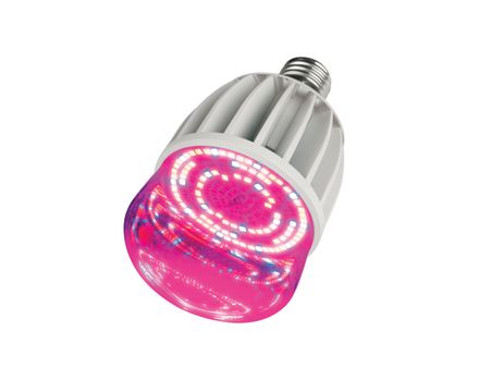 Лампа светод для раст IP54 Форма M прозрачная колба LED-M80-20W/SP/E27/CL ALS55WH 