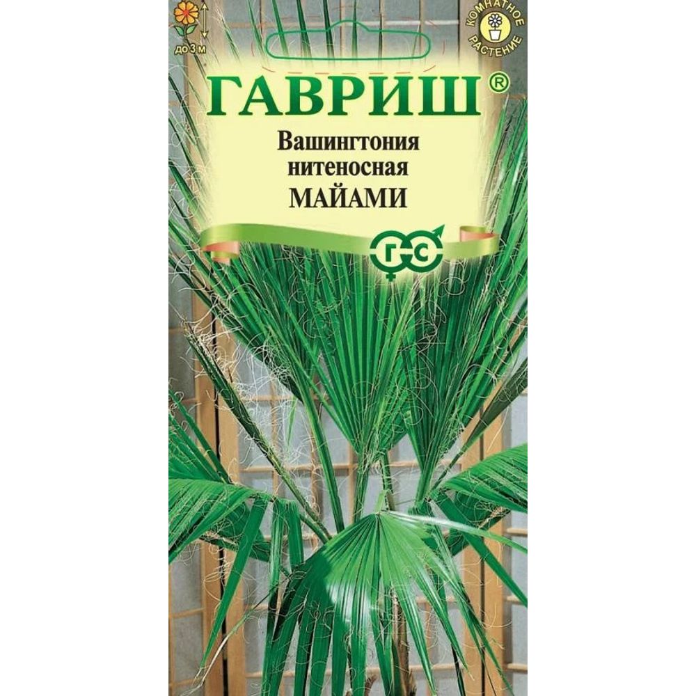 Вашингтония нитеносная Майами 3шт Гавриш 