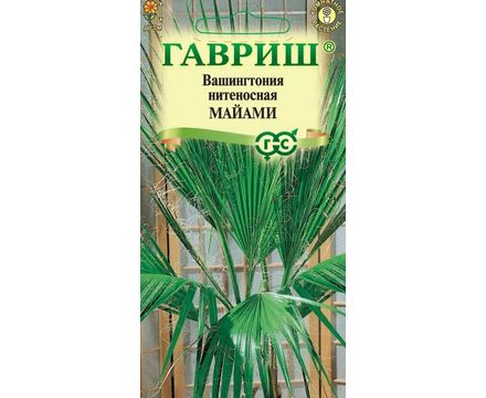 Вашингтония нитеносная Майами 3шт Гавриш 