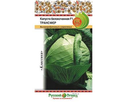 Капуста Б-К Трансфер F1 0,2г Русский Огород