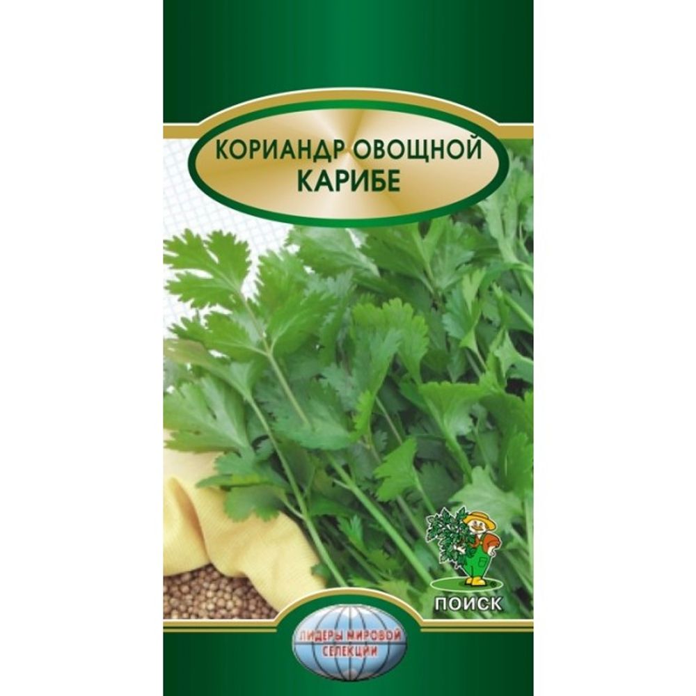 Кориандр овощной Карибе 3г Поиск