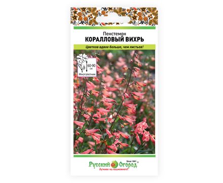 Пенстемон Коралловый вихрь (5 шт) Русский Огород