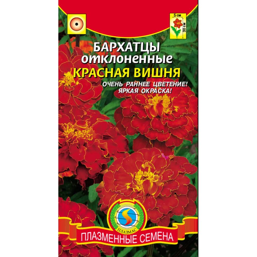 Бархатцы отклоненные Красная вишня 45шт Плазменные семена