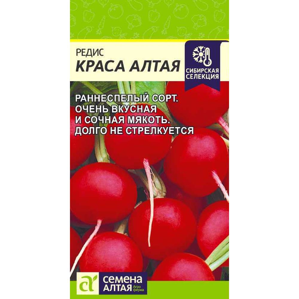 Редис Краса Алтая 2г Сибирская Селекция! Семена Алтая
