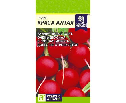 Редис Краса Алтая 2г Сибирская Селекция! Семена Алтая