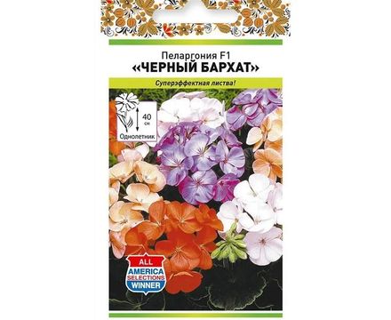 Цветы Пеларгония Черный бархат смесь 5шт Русский Огород