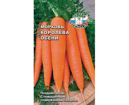 Морковь Королева Осени 2г Седек
