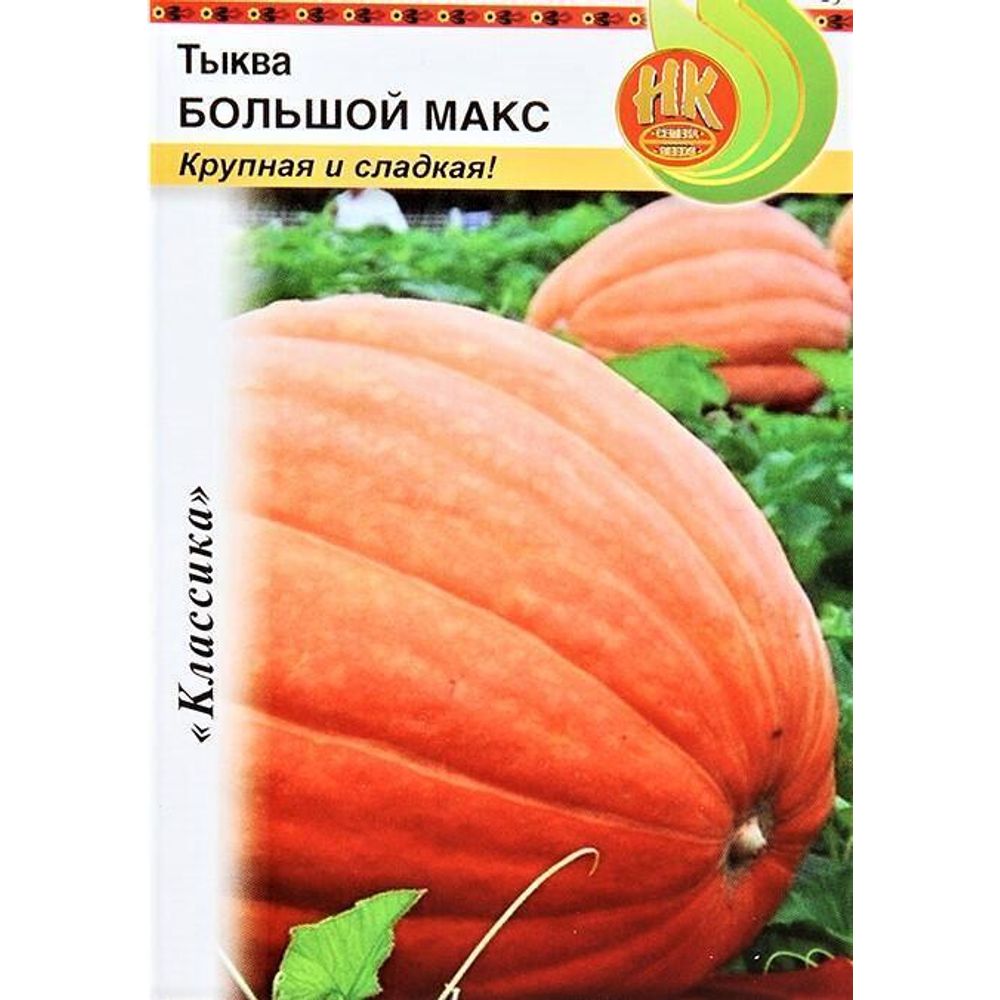Тыква Большой Макс 1г Русский Огород