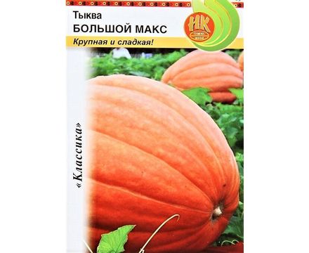 Тыква Большой Макс 1г Русский Огород