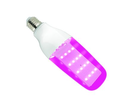 Лампа светод для раст Форма DOUBLESIDE прозр LED-B82-12W/SPBR/E27/CL PLP33WH 