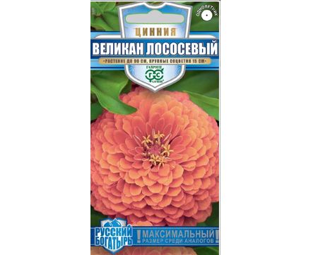 Цинния Великан лососевый 0,3г Русский богатырь Гавриш