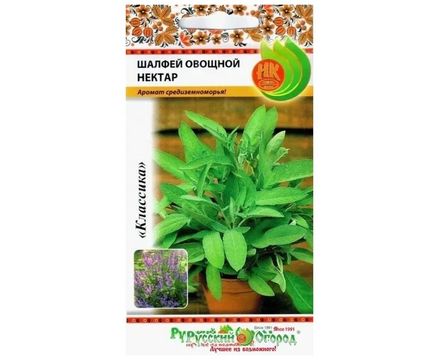 Шалфей овощной Нектар 0,5г Русский Огород