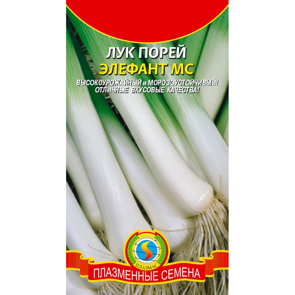 Лук порей Элефант МС 0,5гр Плазменные семена