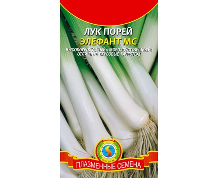 Лук порей Элефант МС 0,5гр Плазменные семена