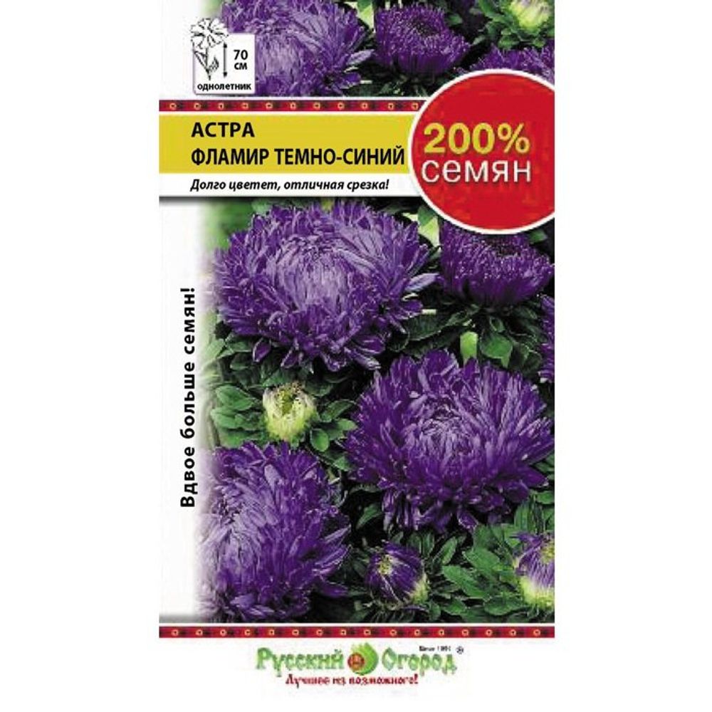 Цветы Астра Фламир темно-синий 0,5г Русский огород