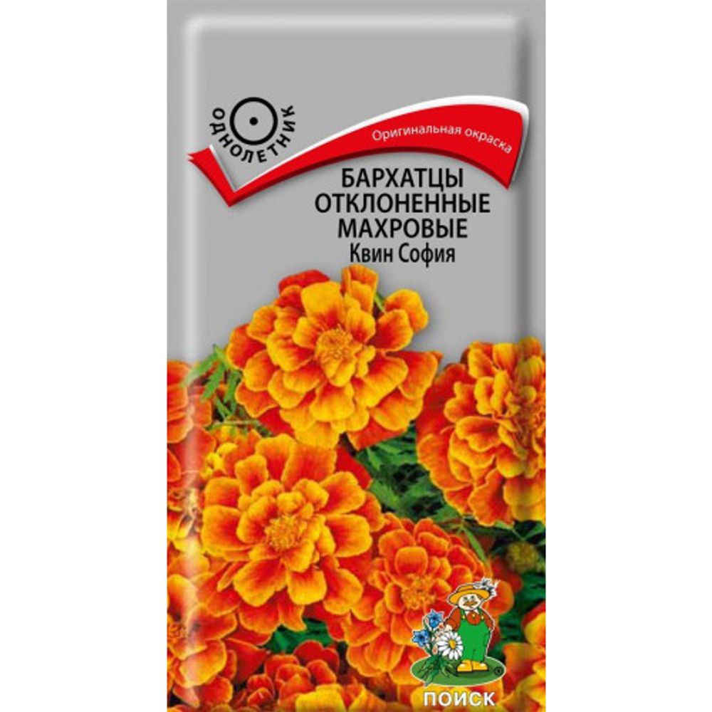Бархатцы отклоненные махровые Квин София 0,4г Поиск