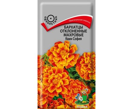 Бархатцы отклоненные махровые Квин София 0,4г Поиск