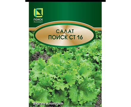 Салат Поиск СТ16 1гр