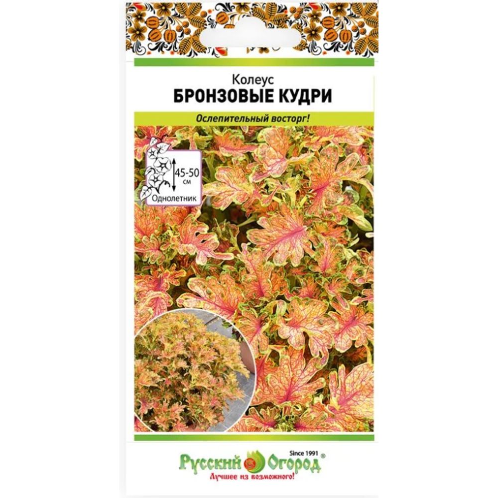 Цветы Колеус Бронзовые кудри 10шт 	Русский огород									