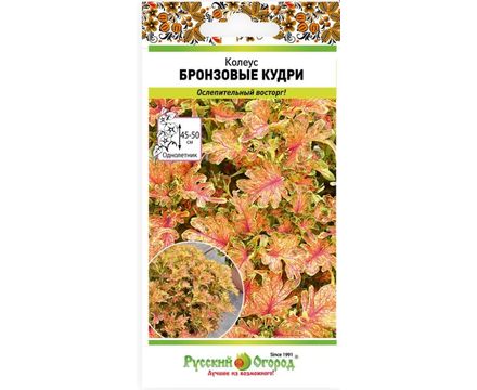 Цветы Колеус Бронзовые кудри 10шт 	Русский огород									