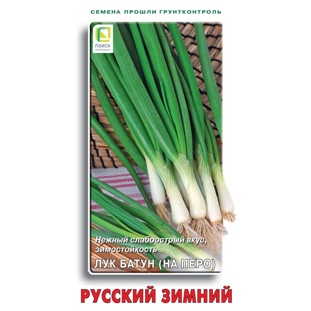 Лук батун Русский зимний 1гр. Поиск