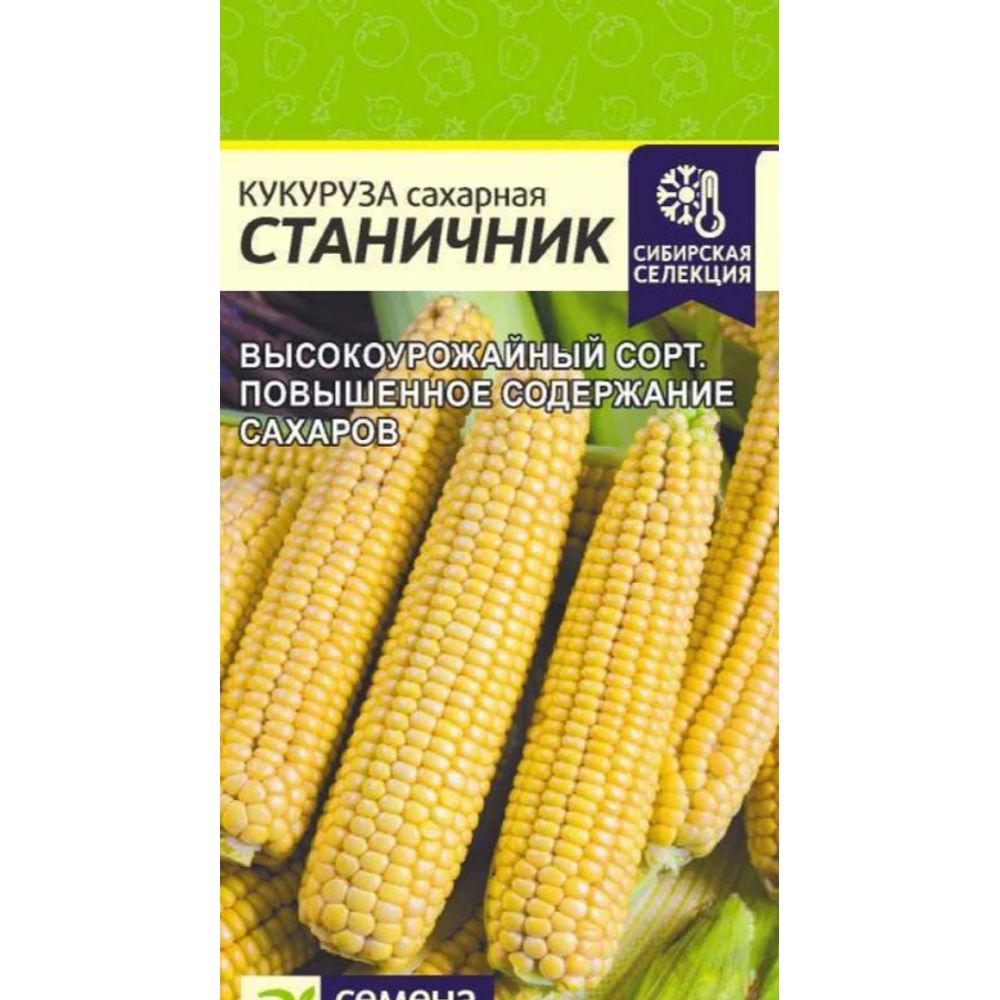 Кукуруза Станичник 3 гр Семена Алтая