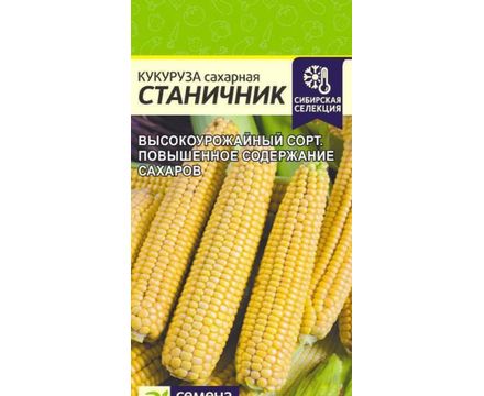 Кукуруза Станичник 3 гр Семена Алтая