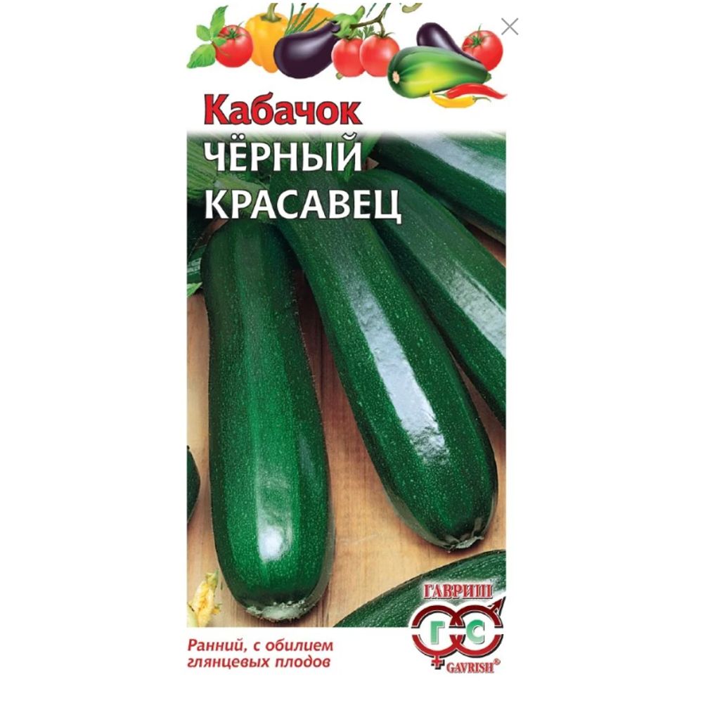Кабачок Черный красавец 2 г Гавриш  
