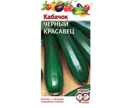 Кабачок Черный красавец 2 г Гавриш  